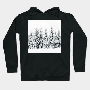 Snow Porn Hoodie